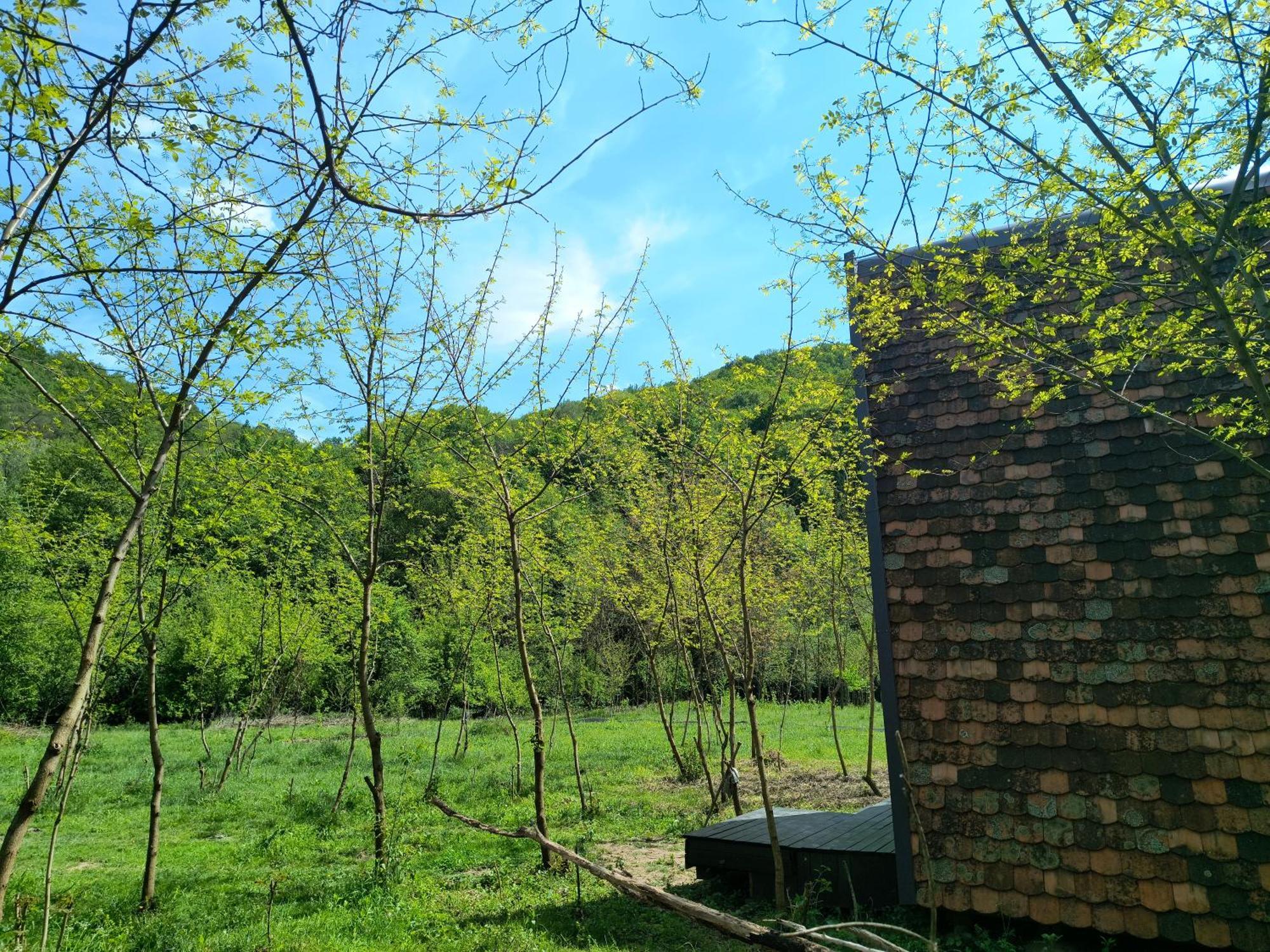 Retreat In Padure Hotel Buchin Exterior foto